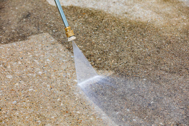 Best Roof Cleaning and Mildew Removal in Bonham, TX