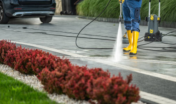 Best Parking Lot Cleaning in Bonham, TX